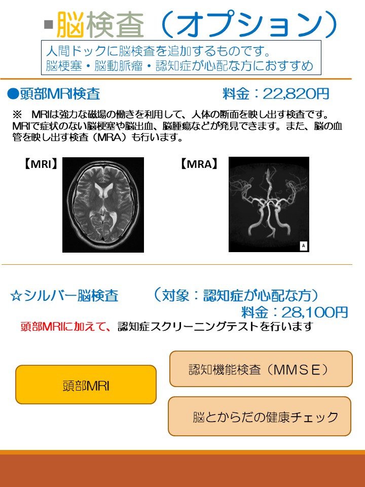 脳検査(オプション)1